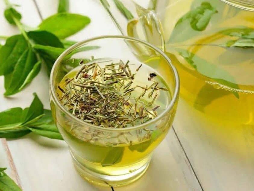 مصرف چای سبز در دوران بارداری توصیه می‌شود.