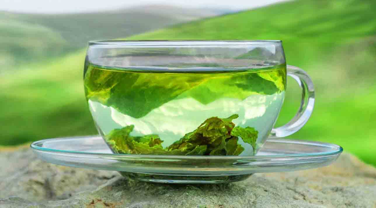 چای سبز علی رغم فواید متعددش می‌تواند برای بدن مضر هم باشد.