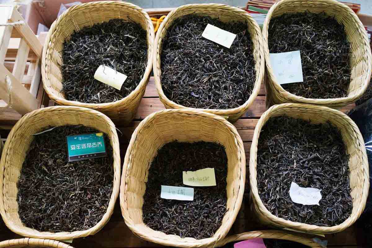 از انواع چای ایران می‌توان به چای سرگل، شکسته و ممتاز اشاره کرد.