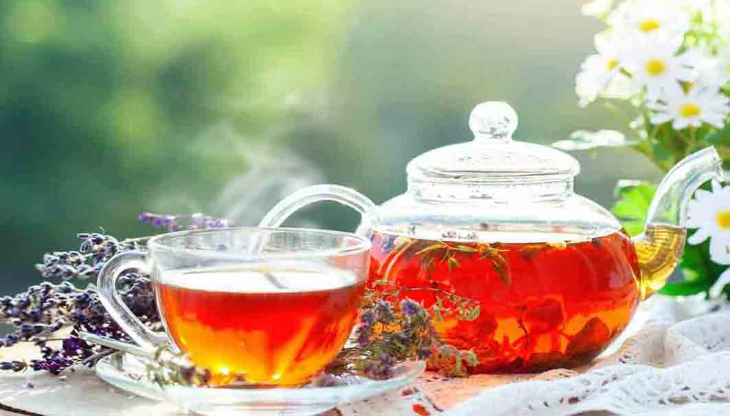 در مصرف چای کله مورچه ای نباید زیاده روی شود.