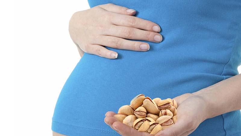 پسته از جمله مغزهای مغذی است که مصرف آن در دوران بارداری فواید زیادی دارد.