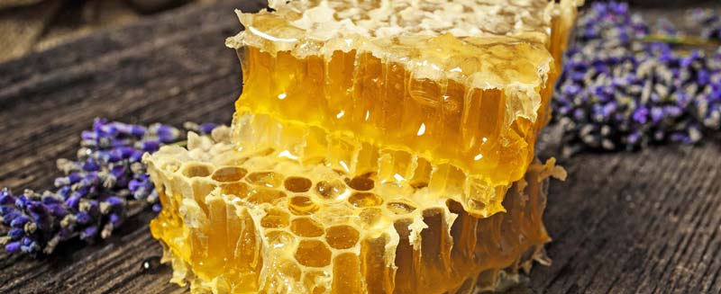 یکی از مهم‌ترین خواص عسل گرمسیری اینه که می‌تواند عفونت‌های ریه را از بین ببرد.